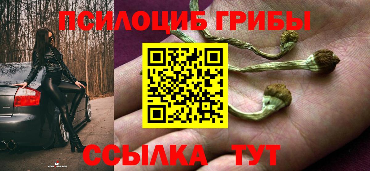 Галлюциногенные грибы прущие грибы Отрадный