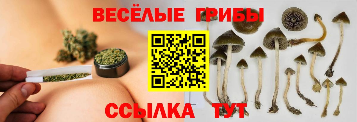 Отрадный  Псилоцибиновые грибы Magic Shrooms  Вход с VPN  Псилоцибиновые грибы GOLDEN TEACHER 