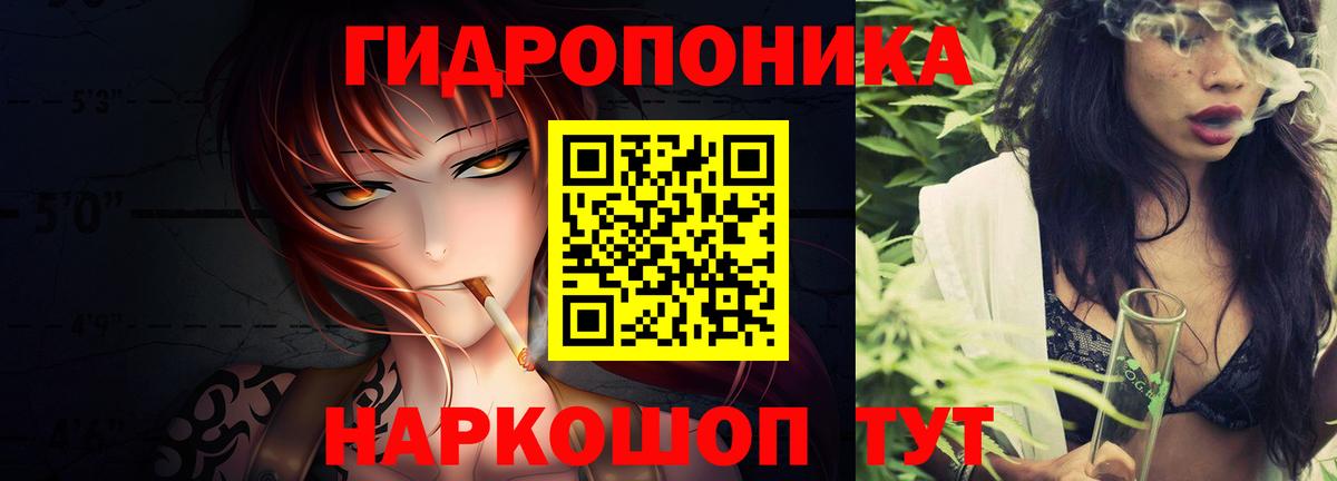 Бошки марихуана индика  Вход с VPN  Марихуана марихуана  Каннабис планчик  Бошки Шишки сатива  Отрадный 